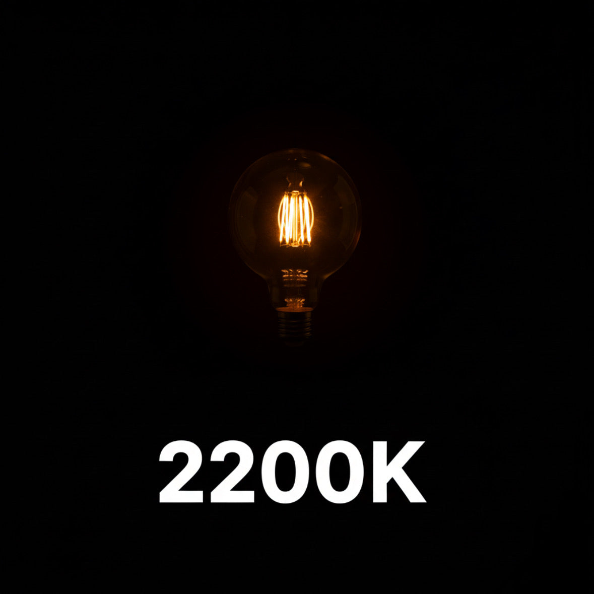 LED Filament bulb G95 8W