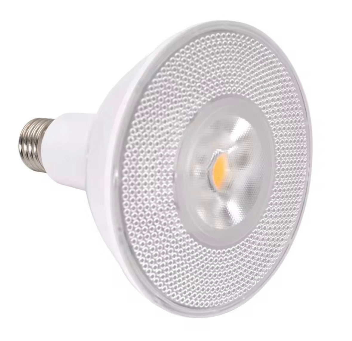LED Par38 Lamp 12W